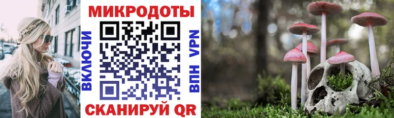 Галлюциногенные грибы мухоморы  Купить  Чита 